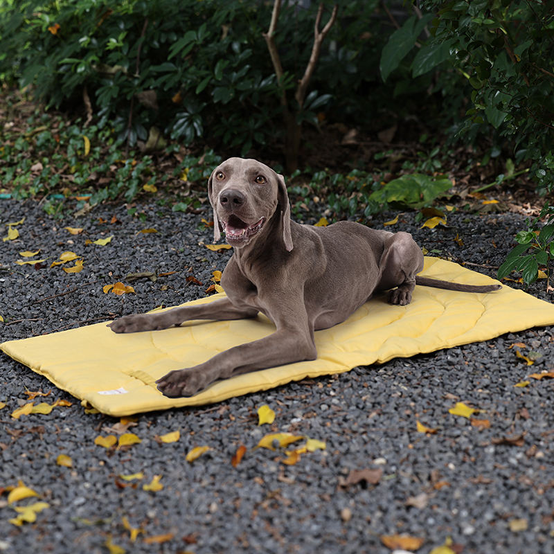 Taşınabilir Pet Mat katlanabil - Outdoor Camping Rug Waterproof incelemesi ve fiyatı